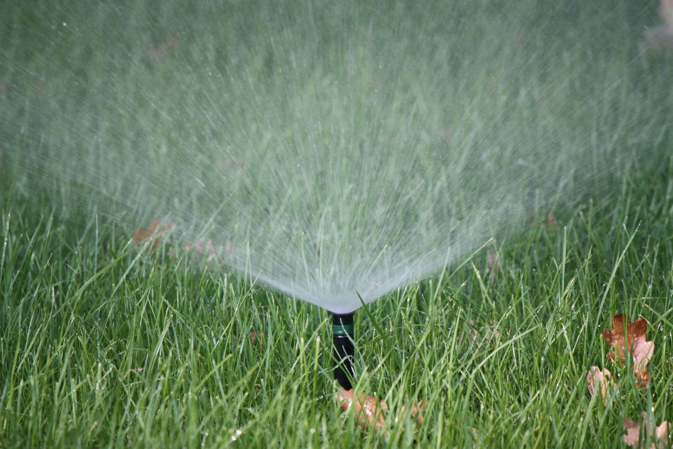 Парк Ленінського Комсомолу, фото 16